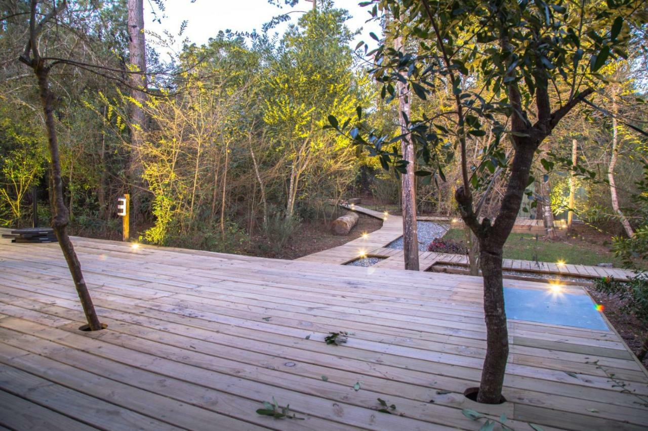 Villa Sisepuede Ocean Park Exterior foto